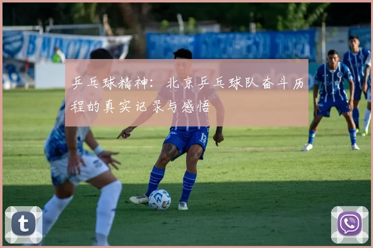 乒乓球精神：北京乒乓球队奋斗历程的真实记录与感悟