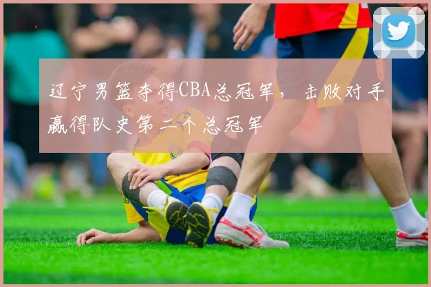 辽宁男篮夺得CBA总冠军，击败对手赢得队史第二个总冠军