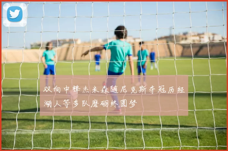 双向中锋杰米森随尼克斯夺冠历经湖人等多队磨砺终圆梦