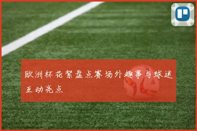 欧洲杯花絮盘点赛场外趣事与球迷互动亮点