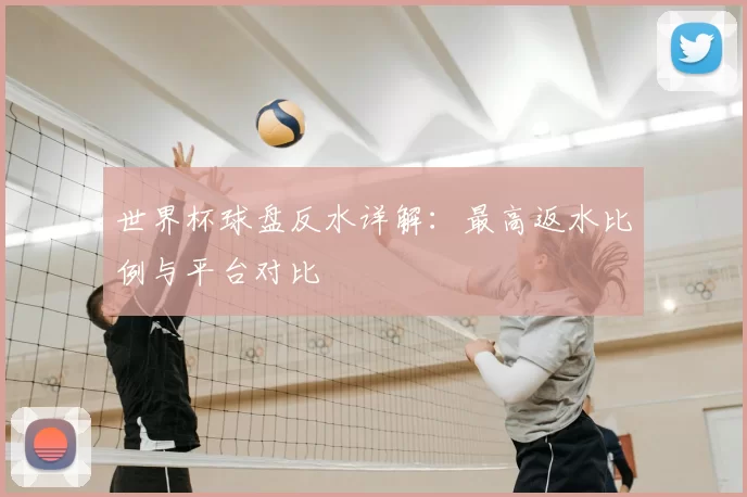 世界杯球盘反水详解：最高返水比例与平台对比