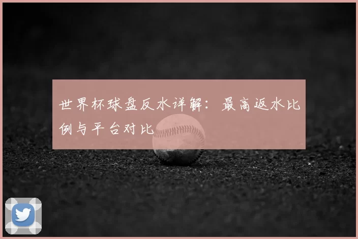 世界杯球盘反水详解：最高返水比例与平台对比