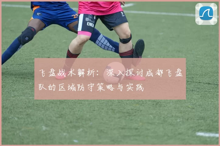 飞盘战术解析：深入探讨成都飞盘队的区域防守策略与实践