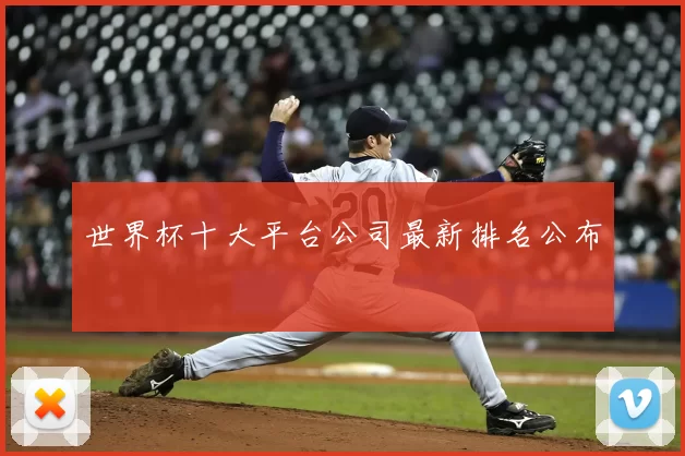 世界杯十大平台公司最新排名公布