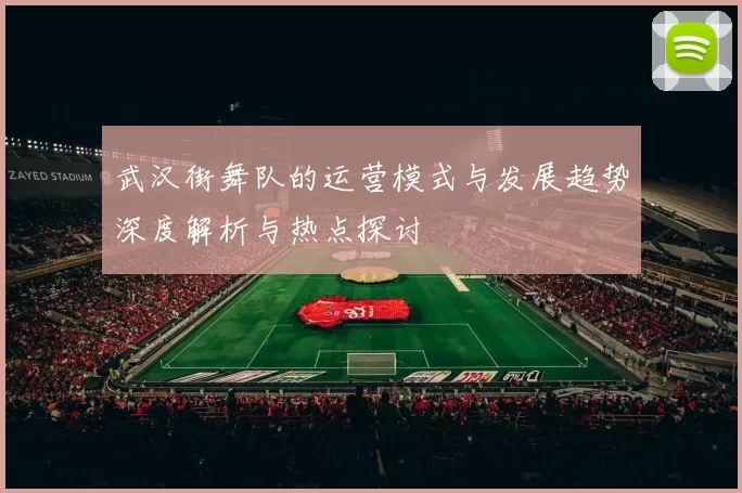 武汉街舞队的运营模式与发展趋势深度解析与热点探讨