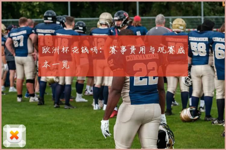 欧洲杯花钱吗:赛事费用与观赛成本一览
