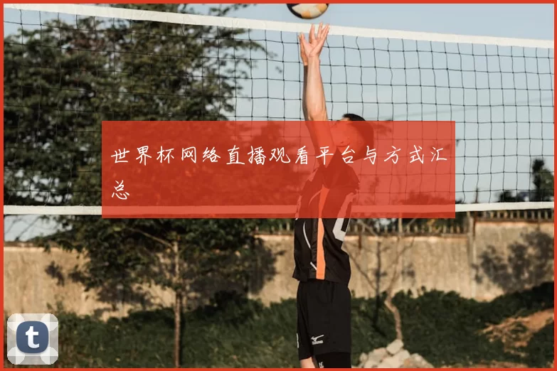 世界杯网络直播观看平台与方式汇总