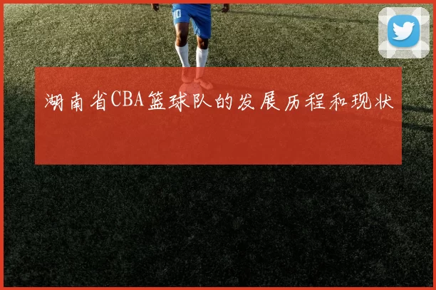 湖南省CBA篮球队的发展历程和现状