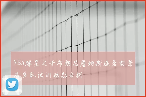 NBA球星之子布朗尼詹姆斯选秀前景及多队试训动态分析