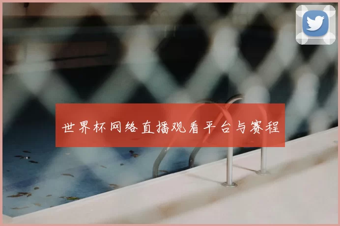 世界杯网络直播观看平台与赛程