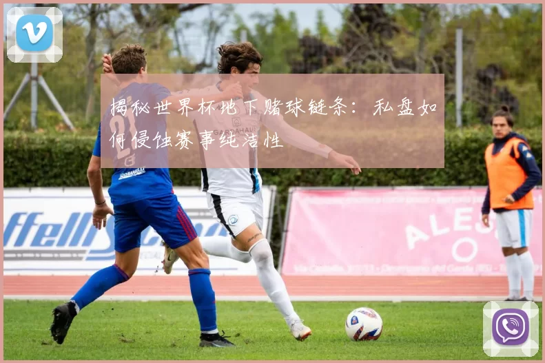 揭秘世界杯地下赌球链条：私盘如何侵蚀赛事纯洁性