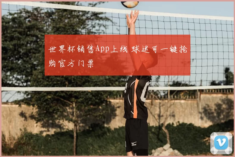 世界杯销售App上线 球迷可一键抢购官方门票