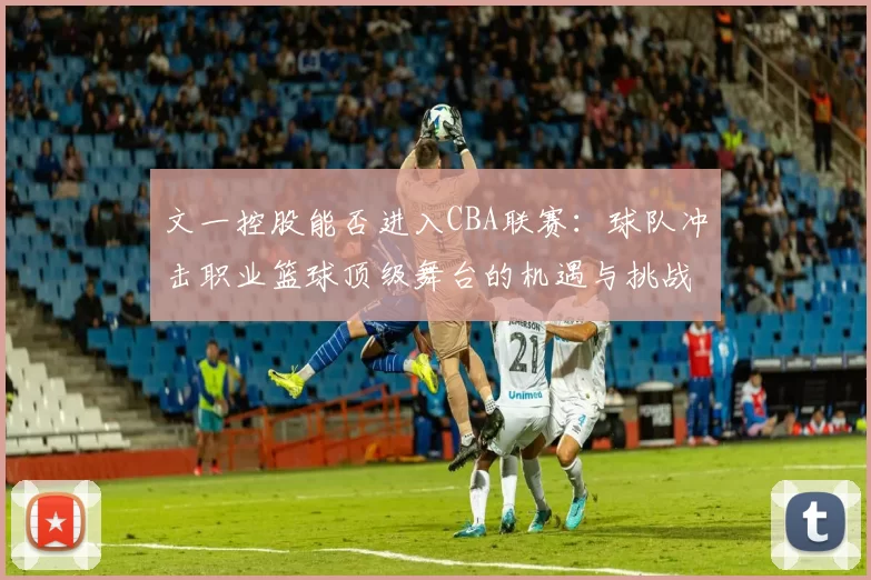 文一控股能否进入CBA联赛：球队冲击职业篮球顶级舞台的机遇与挑战