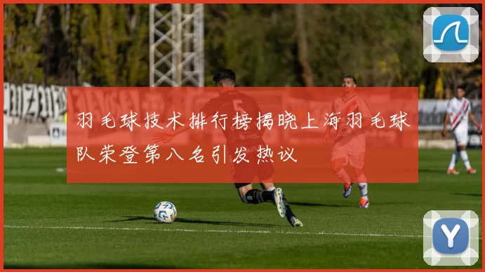 羽毛球技术排行榜揭晓上海羽毛球队荣登第八名引发热议