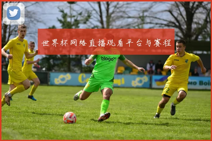 世界杯网络直播观看平台与赛程