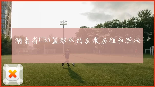 湖南省CBA篮球队的发展历程和现状