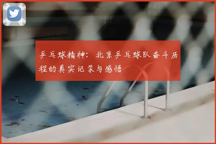乒乓球精神：北京乒乓球队奋斗历程的真实记录与感悟