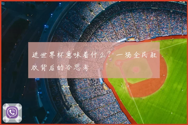 进世界杯意味着什么？一场全民狂欢背后的冷思考
