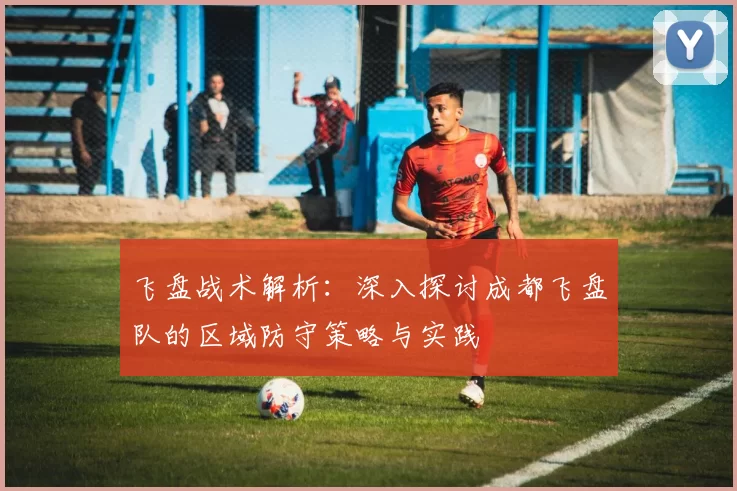 飞盘战术解析：深入探讨成都飞盘队的区域防守策略与实践